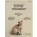 Rada Russkikh Hypoallergenic shampoo for dogs and cats 100 ml - Buy Online on GoSupps.com