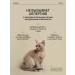 Rada Russkikh Hypoallergenic shampoo for dogs and cats 250 ml - Buy Online on GoSupps.com