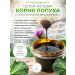 DikoMarket Burdock root extract with collagen and vitamin C