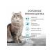 SECRET FOR PETS Secret food for cats with salmon 10 kg - Buy Online on GoSupps.com