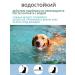 A collar from fleas and ticks for dogs 38 cm - Buy Online on GoSupps.com