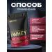 Optimum Nutrition Protein 100% Whey Gold Standard 465g double chocolate - Buy Online on GoSupps.com