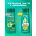 Garnier Fructis strengthening shampoo growth in full force 400 ml 2 pcs - Buy Online on GoSupps.com