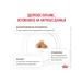 ROYAL CANIN GastroinTestinal Fiber Response for cats with constipation of 2kg - Buy Online on GoSupps.com
