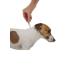 Bayer Antiparasitar for dogs 10-25 kg of 3-pipetes*2.5ml - Buy Online on GoSupps.com