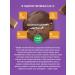 Sporty Protein cookies "Chocolate Brownie" - Buy Online on GoSupps.com