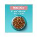 PURINA ONE Feed for cats 0.75 kg for sterilized with salmon - Buy Online on GoSupps.com