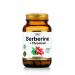 Energy Bio Systems Berberin with chrome 500 mg 60 capsules for weight loss - Buy Online on GoSupps.com