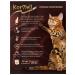 KorMell Paste of beef with liver for cats Wet feed 28pcs 75g - Buy Online on GoSupps.com