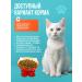 NUWAK Dry food for adult cats 12 kg - Buy Online on GoSupps.com