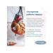 Native sea collagen - Buy Online on GoSupps.com