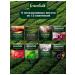 Greenfield Gift tea in bags set - Buy Online on GoSupps.com