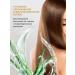 ArMali Hair shampoo Women Moisturizing Aloe Vera - Buy Online on GoSupps.com
