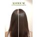 Ayusri Hair oil bringradge 100 ml - Buy Online on GoSupps.com