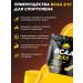 Prime Kraft Amino acid BCAA 2 1 1 Orange Spritz 500 g - Buy Online on GoSupps.com