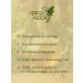 FOREST FAIRY IVANE-TALE ENSARMENTED WITH FILMENTS - Buy Online on GoSupps.com