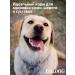 Zoogourman Dry food for large dogs Big Dog Beef 10 kg - Buy Online on GoSupps.com