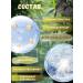 TasteOfLife Eye patches from edema and bags with coal and collagen - Buy Online on GoSupps.com