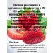 FLEXARTIS Drinking collagen with strawberries 150 g - Buy Online on GoSupps.com