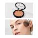 Astra Bronze Skin Powder 15 Faces Bronzer - Buy Online on GoSupps.com