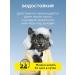Good Dog&Cat Collar from fleas and ticks for cats and dogs 35cm yellow - Buy Online on GoSupps.com