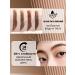 Shedella Lipstone for eyebrows brown - Buy Online on GoSupps.com