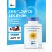 SNT Sunflower lecithin sunflower lecithin 85 capsules