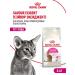 ROYAL CANIN Dry food for fastidious cats Savour Exigent 4 kg - Buy Online on GoSupps.com