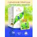 HYLEYS Harmony of nature green tea with blueberries 2 pcs 25 pack - Buy Online on GoSupps.com