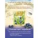 HYLEYS Harmony of nature green tea with blueberries 2 pcs 25 pack - Buy Online on GoSupps.com