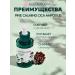 round lab Wederals with centella and pine extract - Buy Online on GoSupps.com