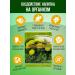 Honey and Jam Dandelion medicinal sheet (with flower) 25 gr. 2 units - Buy Online on GoSupps.com