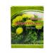 Honey and Jam Dandelion medicinal sheet (with flower) 25 gr. 2 units - Buy Online on GoSupps.com