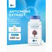 SNT Artichoke Extract artichoke in capsules 90 capsules