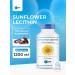 SNT Sunflower lecithin sunflower lecithin 170 capsules