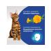 PERFECT FIT Immunity delicacy for cats with chicken and marigold 50g - Buy Online on GoSupps.com