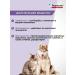 inspector Tablets for cats and dogs from worms and ticks 4 pcs - Buy Online on GoSupps.com