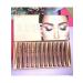 Lipstick lipstone matte persistent set of 12 shades - Buy Online on GoSupps.com
