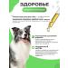 Badger Itching drops for dogs with a soothing effect - Buy Online on GoSupps.com
