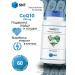 SNT CoQ10 60 capsules coenzyme Q10