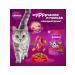 WHISKAS Dry food for cats with beef 1.3 kg - Buy Online on GoSupps.com