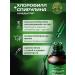 Philosophy of Nature Chlorophyll liquid food concentrate and spirulina - Buy Online on GoSupps.com