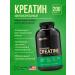 Optimum Nutrition Creatine 200 capsules