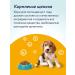Florida Set for puppies dry food canned food delicacy and toy - Buy Online on GoSupps.com
