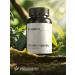 PROHARMONY Chlorella and spirulina in tablets 200 pcs - Buy Online on GoSupps.com