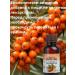 Biolith Sea buckthorn oil 2 units at 100 ml - Buy Online on GoSupps.com