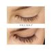 PAUL SOUL Eylash Serum eyelash growth - Buy Online on GoSupps.com