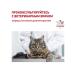 ROYAL CANIN Cat food dry GastroinTestinal Moderate Calorie 2 kg - Buy Online on GoSupps.com