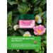 WELEDA Face smoothing day cream 40 ml - Buy Online on GoSupps.com