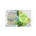 SOCIAL COMPLEX Mohito Lemonada 1.5 l at 6 pcs - Buy Online on GoSupps.com